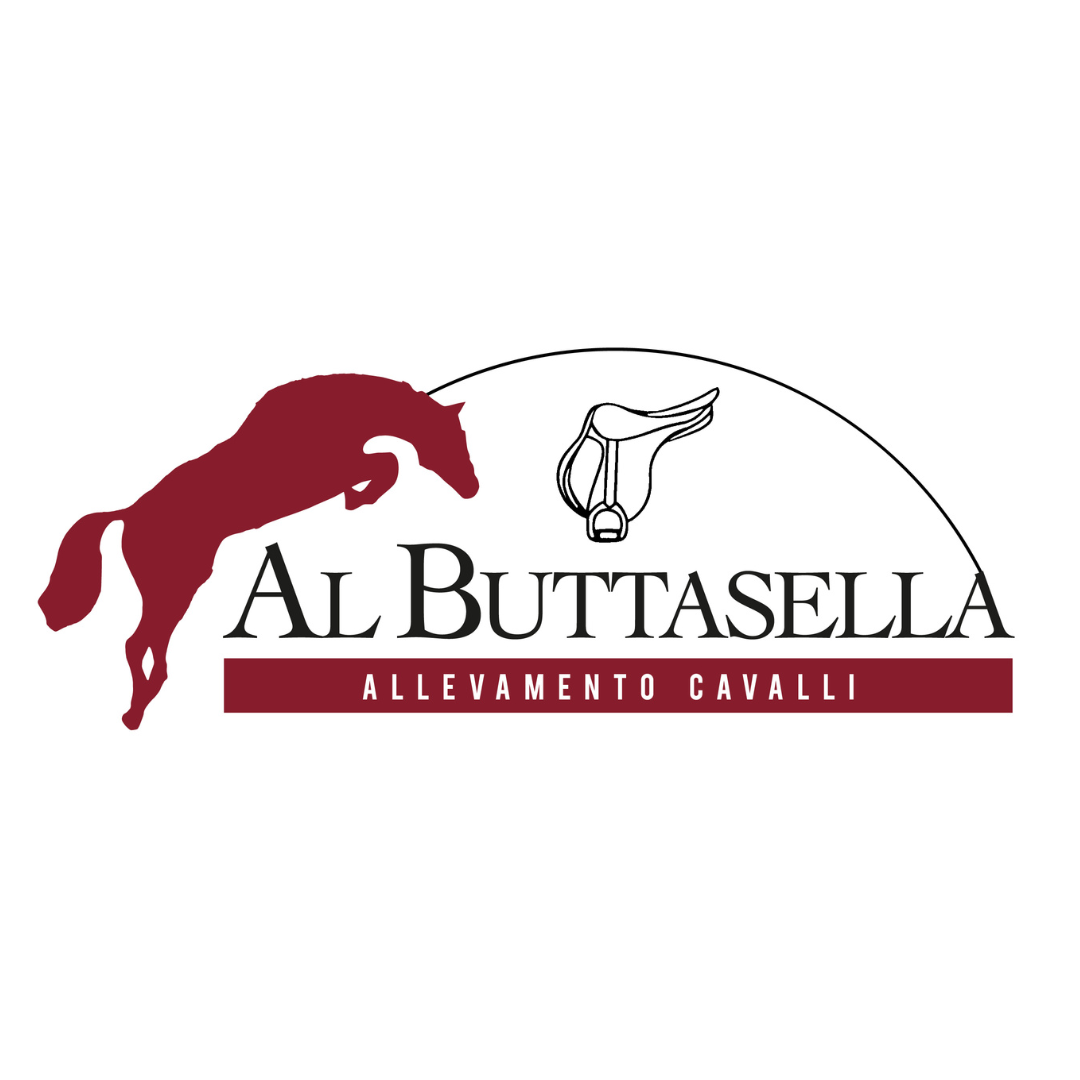 Logo allevamento cavalli sportivi italiani Del Buttasella